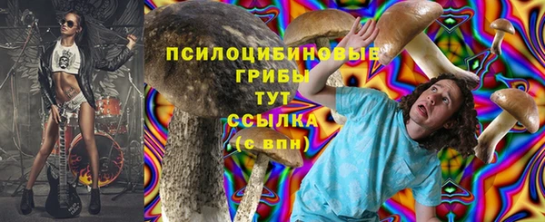 mix Рославль