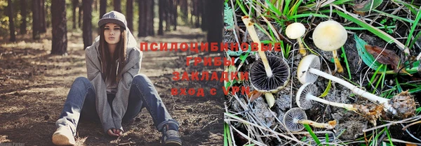 2c-b Верея